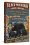 Black Mountain, North Carolina - Black Bears Vintage Sign-Lantern Press-Stretched Canvas