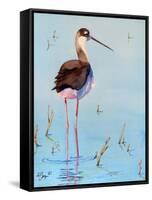 Black Neck Stilt III-Nancy LaBerge Muren-Framed Stretched Canvas