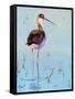 Black Neck Stilt III-Nancy LaBerge Muren-Framed Stretched Canvas