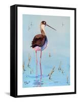 Black Neck Stilt III-Nancy LaBerge Muren-Framed Stretched Canvas