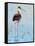 Black Neck Stilt III-Nancy LaBerge Muren-Framed Stretched Canvas