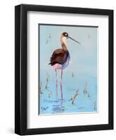 Black Neck Stilt III-Nancy LaBerge Muren-Framed Art Print