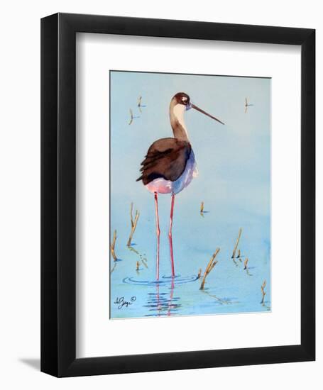 Black Neck Stilt III-Nancy LaBerge Muren-Framed Art Print