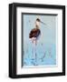 Black Neck Stilt III-Nancy LaBerge Muren-Framed Art Print