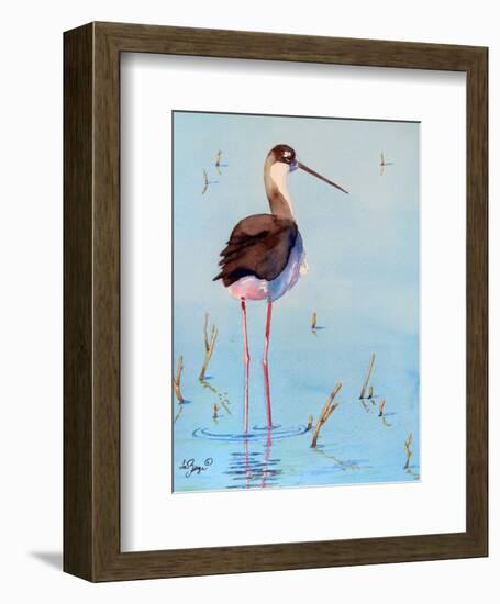 Black Neck Stilt III-Nancy LaBerge Muren-Framed Art Print