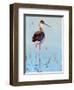 Black Neck Stilt III-Nancy LaBerge Muren-Framed Art Print