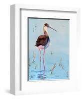 Black Neck Stilt III-Nancy LaBerge Muren-Framed Art Print