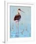 Black Neck Stilt III-Nancy LaBerge Muren-Framed Art Print