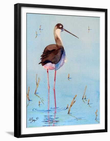 Black Neck Stilt III-Nancy LaBerge Muren-Framed Art Print