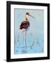 Black Neck Stilt III-Nancy LaBerge Muren-Framed Art Print