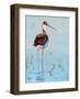 Black Neck Stilt III-Nancy LaBerge Muren-Framed Art Print