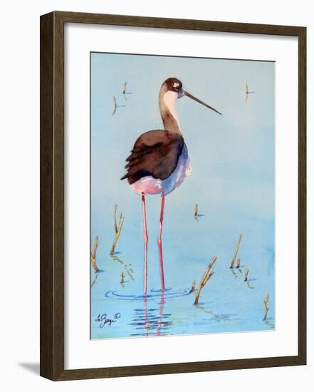 Black Neck Stilt III-Nancy LaBerge Muren-Framed Art Print