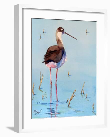 Black Neck Stilt III-Nancy LaBerge Muren-Framed Art Print