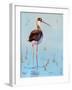 Black Neck Stilt III-Nancy LaBerge Muren-Framed Art Print