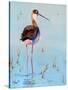 Black Neck Stilt III-Nancy LaBerge Muren-Stretched Canvas