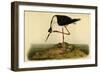 Black-necked Stilt-John James Audubon-Framed Art Print
