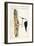 Black Necked Stilt-John James Audubon-Framed Art Print