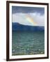 Black-Necked Swans, Torres Del Paine National Park, Patagonia, Chile-Keren Su-Framed Photographic Print