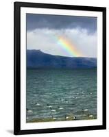 Black-Necked Swans, Torres Del Paine National Park, Patagonia, Chile-Keren Su-Framed Photographic Print