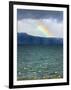 Black-Necked Swans, Torres Del Paine National Park, Patagonia, Chile-Keren Su-Framed Photographic Print