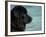 Black Newfoundland Dog Near Water-Adriano Bacchella-Framed Photographic Print