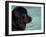 Black Newfoundland Dog Near Water-Adriano Bacchella-Framed Photographic Print