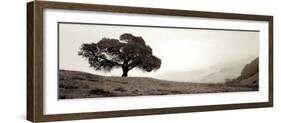 Black Oak #1-Alan Blaustein-Framed Photographic Print