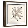 Black Oak Leaf-Booker Morey-Framed Art Print