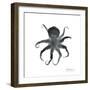 Black Octopus-Albert Koetsier-Framed Premium Giclee Print