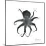 Black Octopus-Albert Koetsier-Mounted Premium Giclee Print