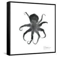 Black Octopus-Albert Koetsier-Framed Stretched Canvas