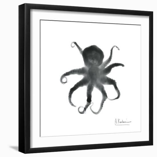 Black Octopus-Albert Koetsier-Framed Art Print