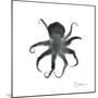 Black Octopus-Albert Koetsier-Mounted Art Print