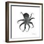 Black Octopus-Albert Koetsier-Framed Premium Giclee Print