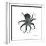 Black Octopus-Albert Koetsier-Framed Premium Giclee Print