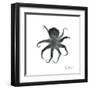 Black Octopus-Albert Koetsier-Framed Art Print