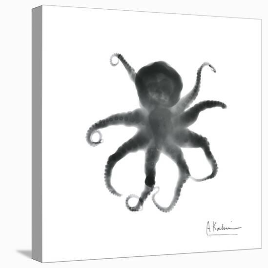 Black Octopus-Albert Koetsier-Stretched Canvas