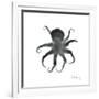 Black Octopus-Albert Koetsier-Framed Art Print