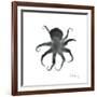 Black Octopus-Albert Koetsier-Framed Art Print