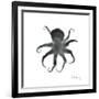 Black Octopus-Albert Koetsier-Framed Art Print