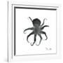 Black Octopus-Albert Koetsier-Framed Art Print