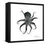 Black Octopus-Albert Koetsier-Framed Stretched Canvas