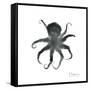 Black Octopus-Albert Koetsier-Framed Stretched Canvas