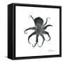 Black Octopus-Albert Koetsier-Framed Stretched Canvas