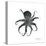 Black Octopus-Albert Koetsier-Stretched Canvas