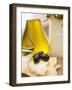 Black Olives, Crackers, Olive Oil and Parmesan-null-Framed Photographic Print