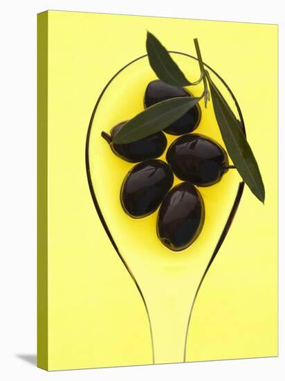 Black Olives in Olive Oil with Sprig of Olive Leaves-Marc O^ Finley-Stretched Canvas
