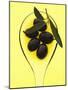 Black Olives in Olive Oil with Sprig of Olive Leaves-Marc O^ Finley-Mounted Photographic Print