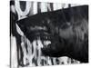 Black on Black Shark-Shark Toof-Stretched Canvas