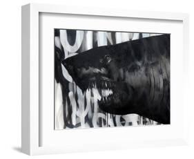 Black on Black Shark-Shark Toof-Framed Art Print